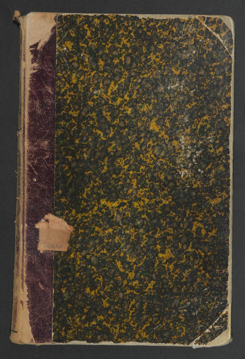 1878 Ankäufe und Geschenke N° 1-629. [– 1583] inclusive Leihgaben der Königlichen Staatsregierung  L. S. 218 bis 265 und 390
