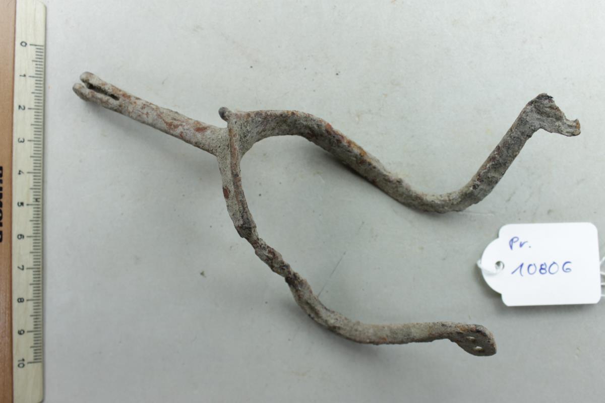 Radsporn
