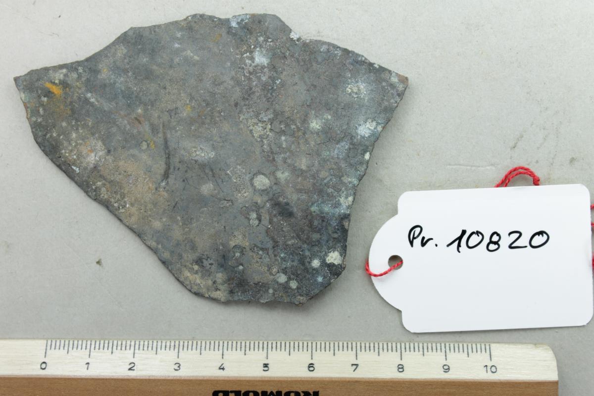 Bronzeschalenfragment
