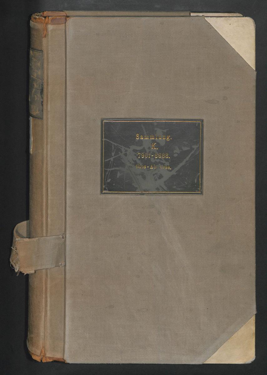 Gips Abgüsse Nr. 7901-8688