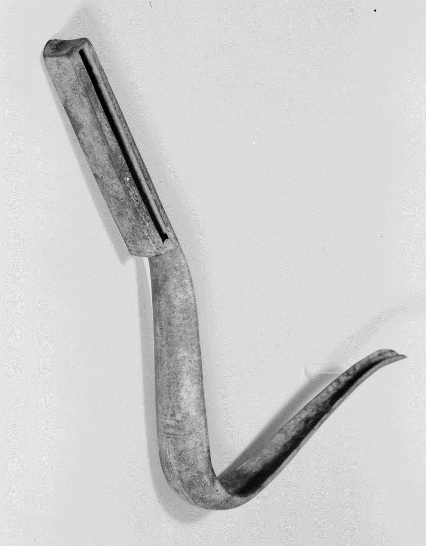 Strigilis