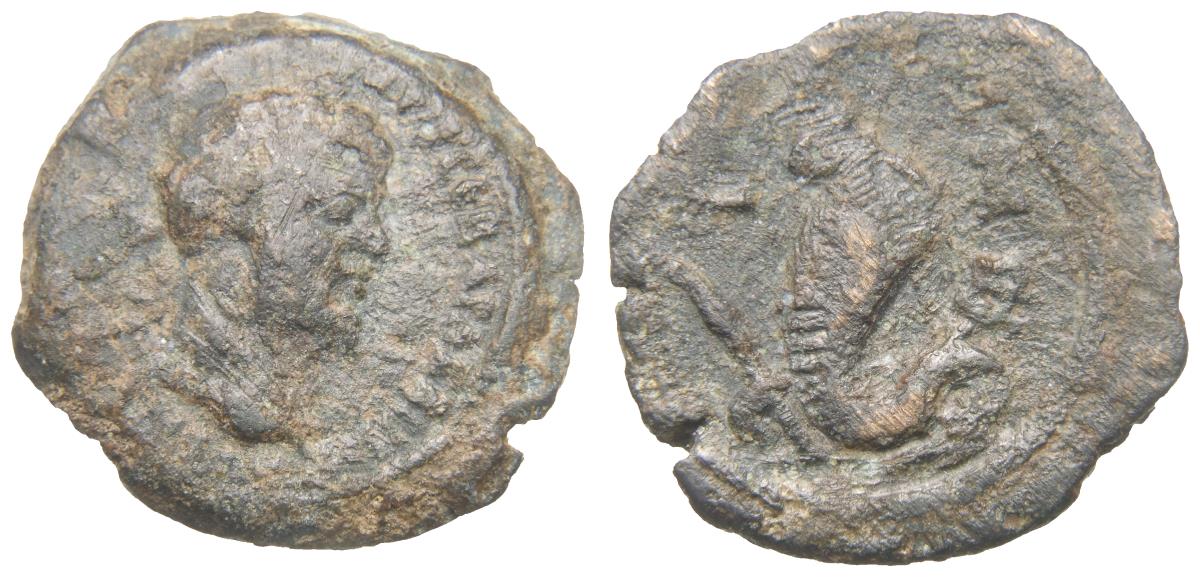 Alexandria: Septimius Severus
