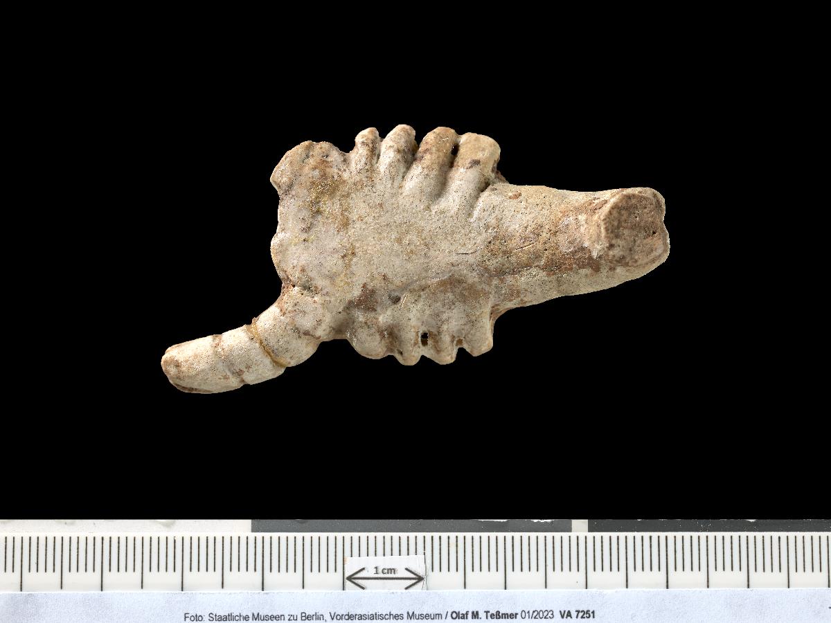 Fragment Skorpions