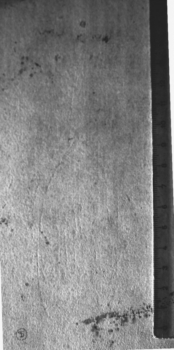 Kopf eines emporblickenden Apostels