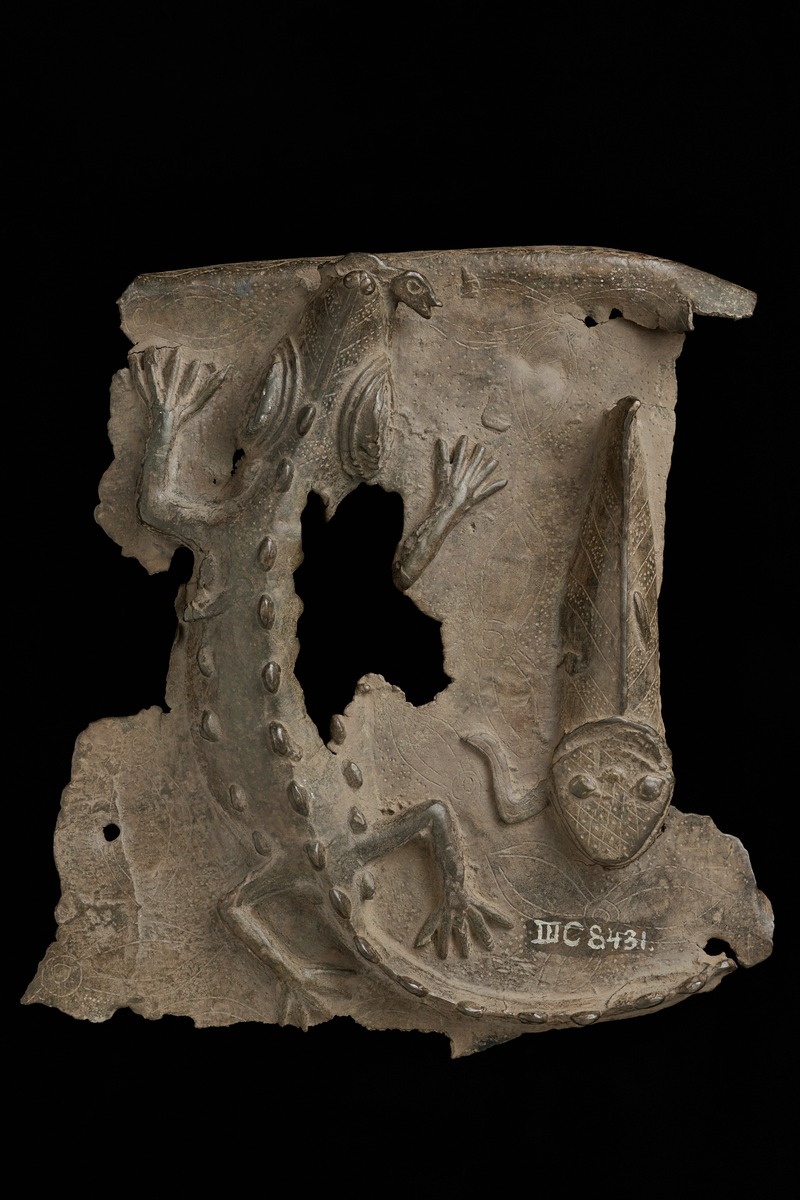 Krokodil und Fisch