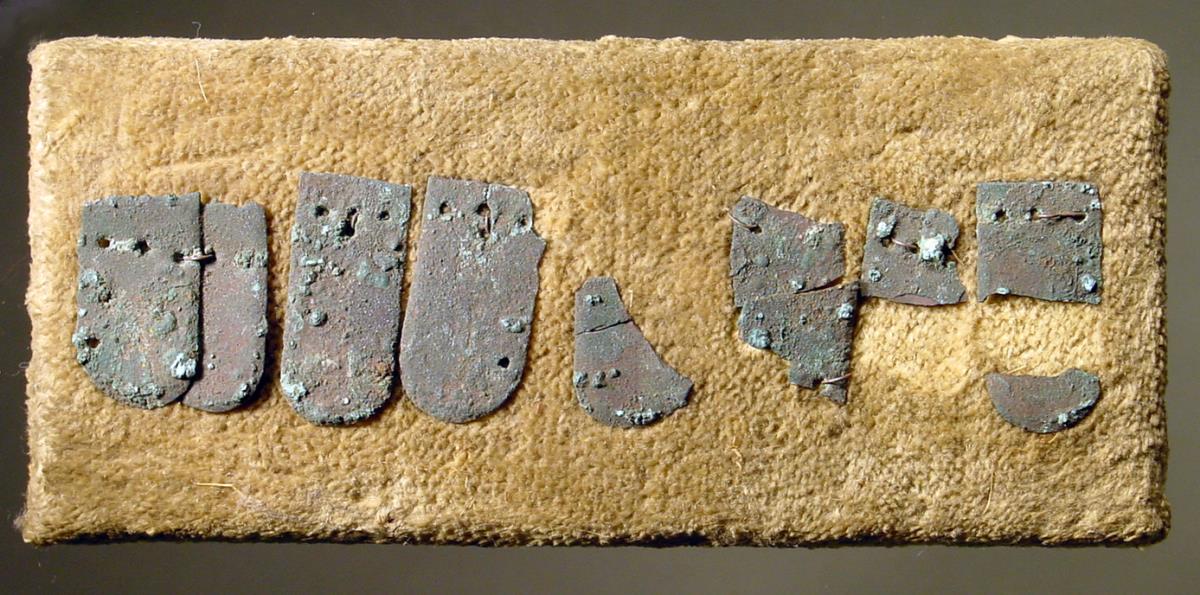 Fünf ganze und ein paar fragmentierte Schuppen eines Panzers, auf einem Brett