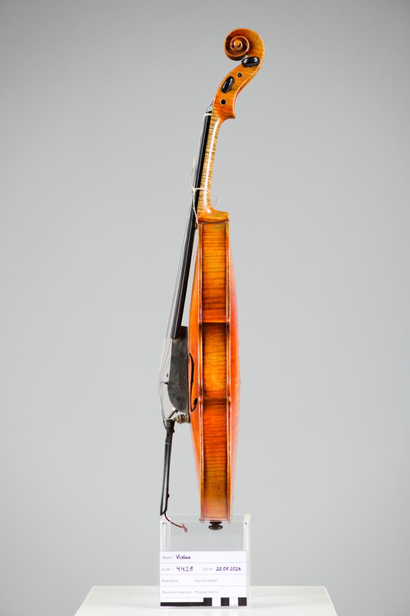 Violine