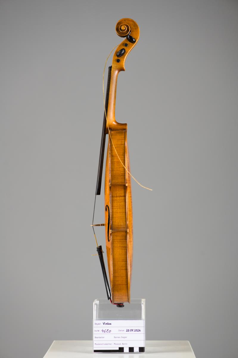 Violine
