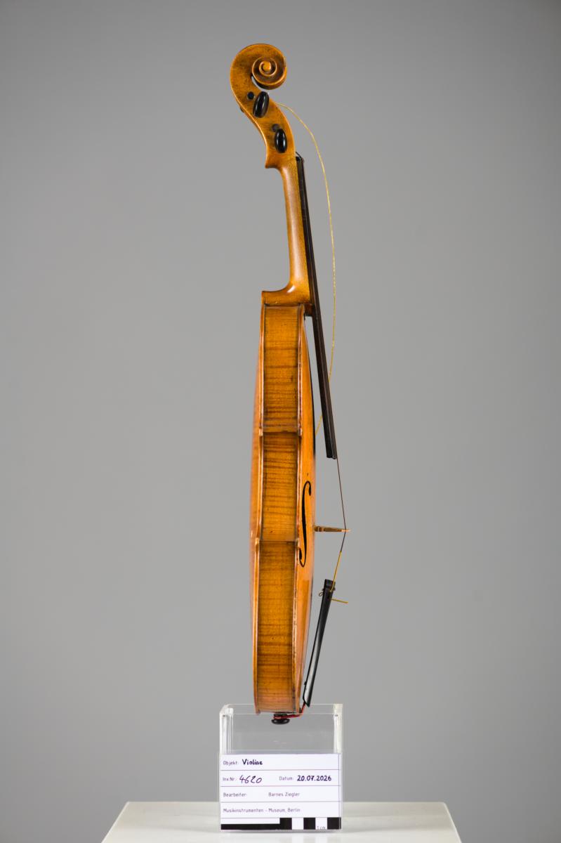 Violine