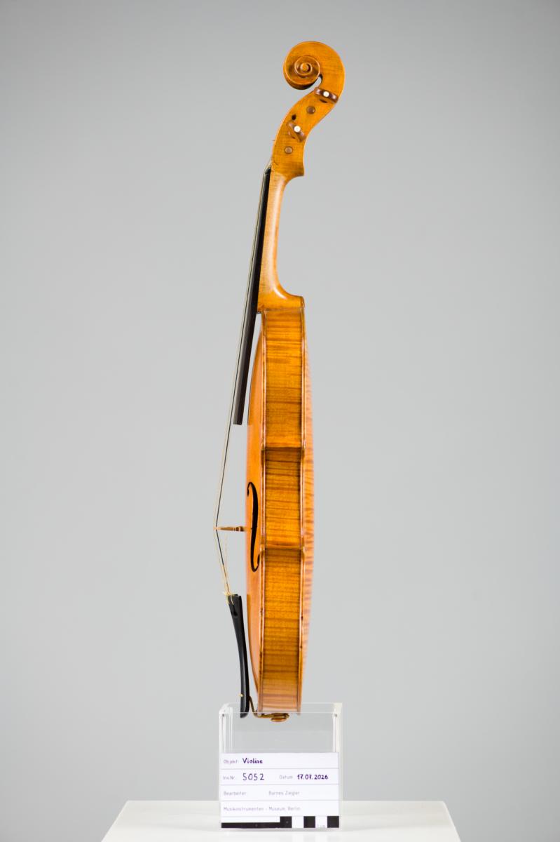 Violine