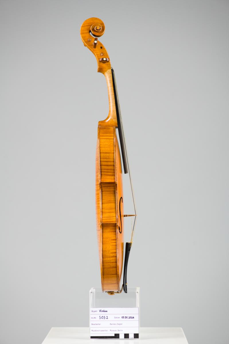 Violine