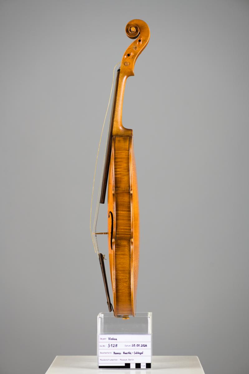 Violine