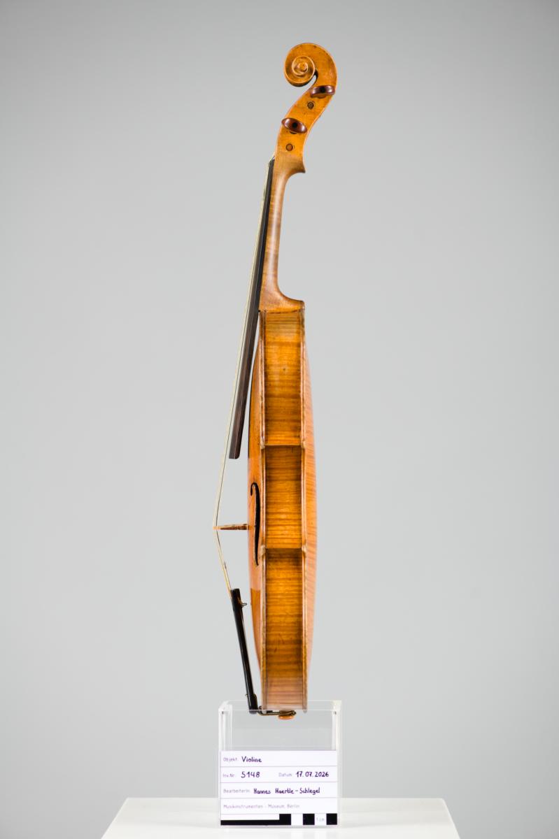 Violine