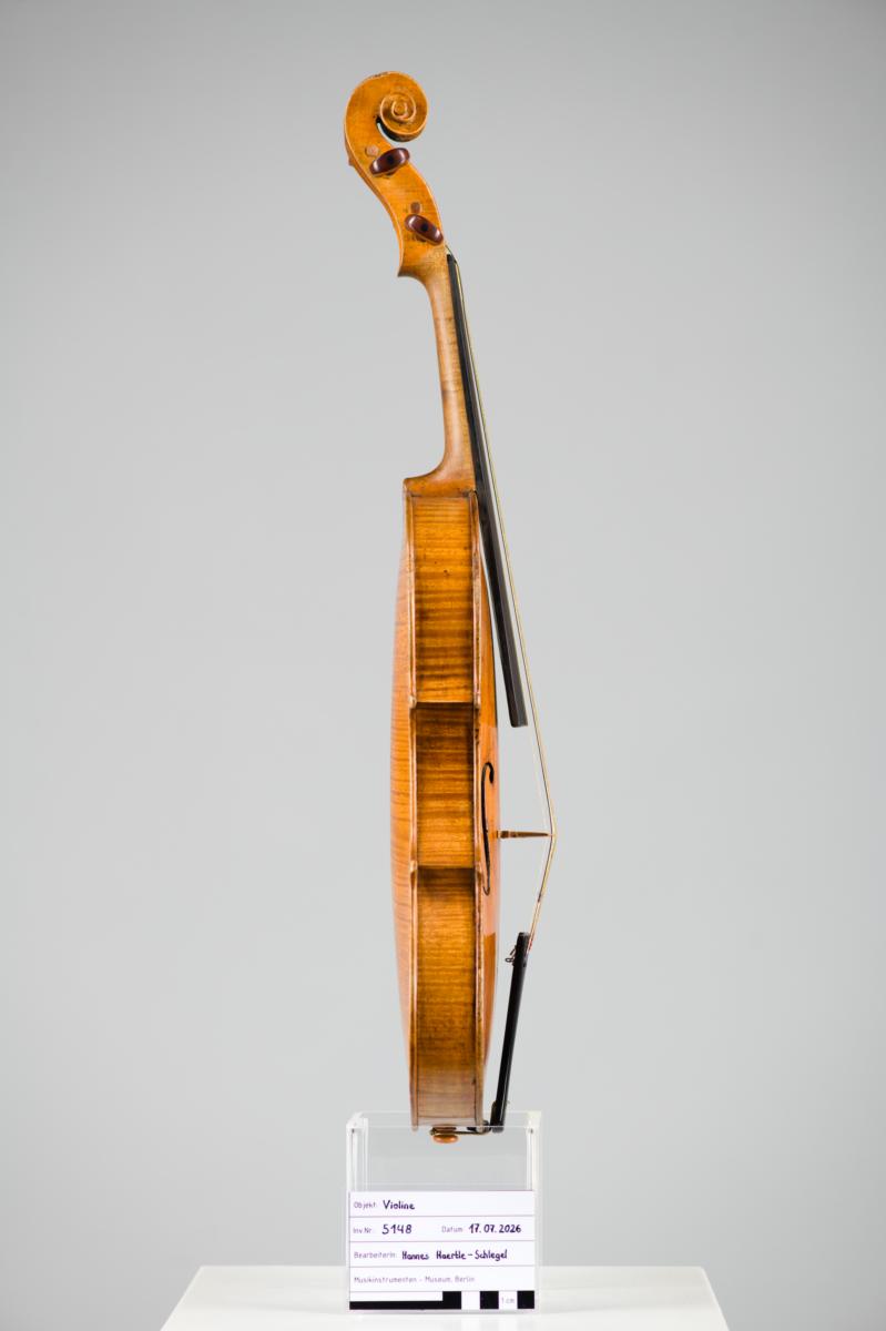 Violine