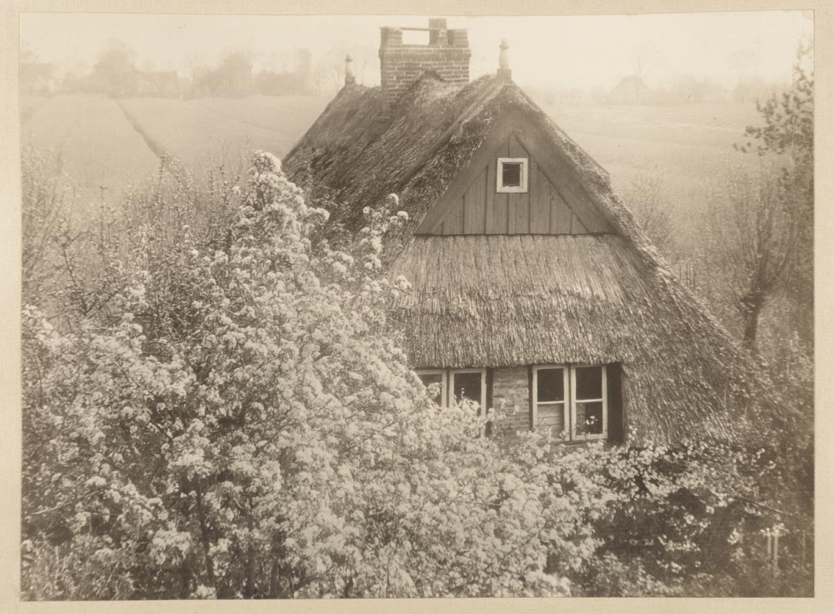 Marschenfrühling am Elbdeich (aus dem Album "Hamburg: Land und Leute der Niederelbe", Nachträge)