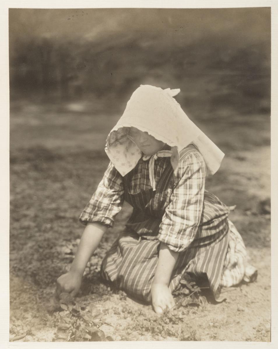 Frau Dubber jr. Geesthacht (aus dem Album "Hamburg: Land und Leute der Niederelbe", Nachträge)