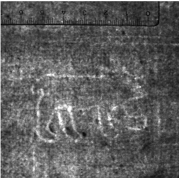 Kopf des Apostels Paulus