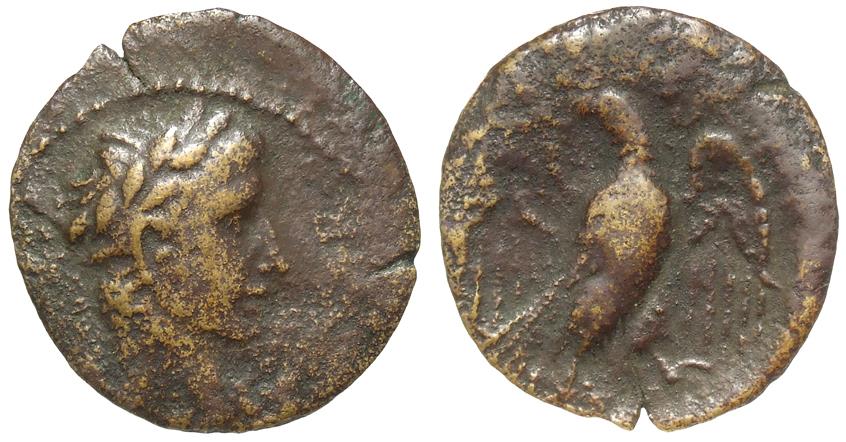 Augustus