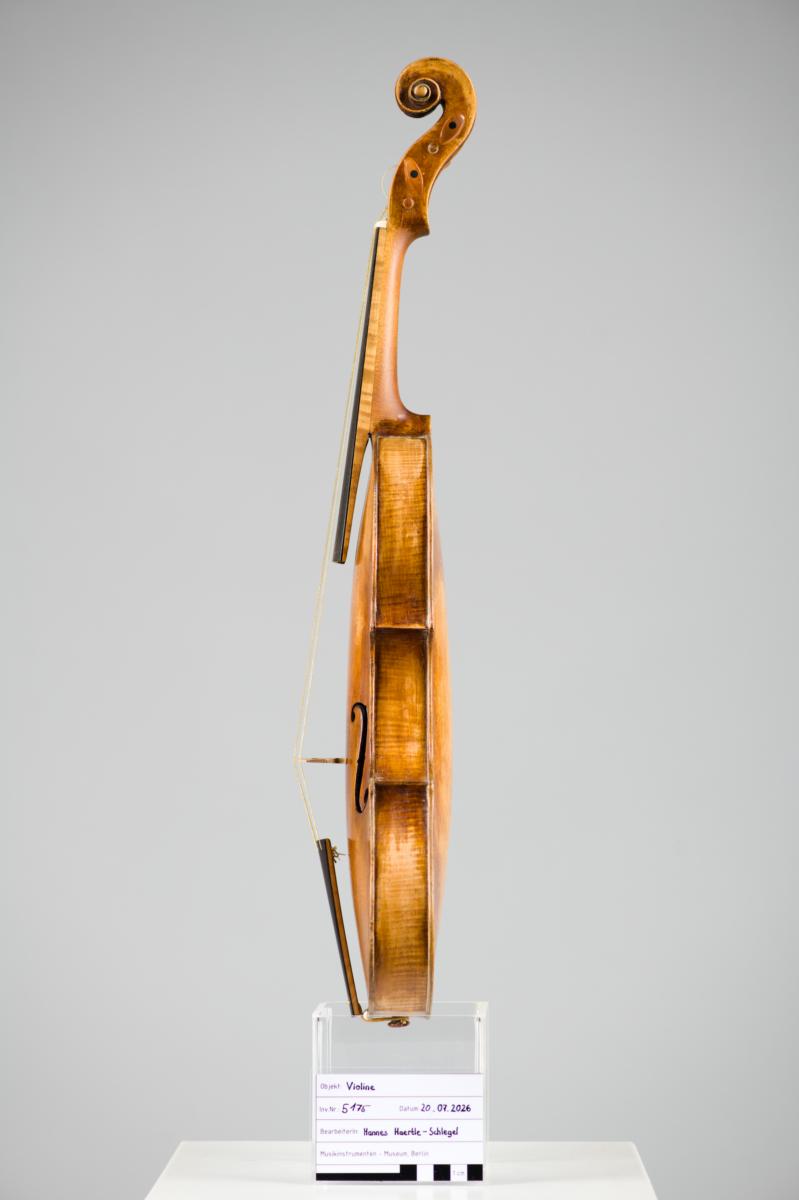 Violine
