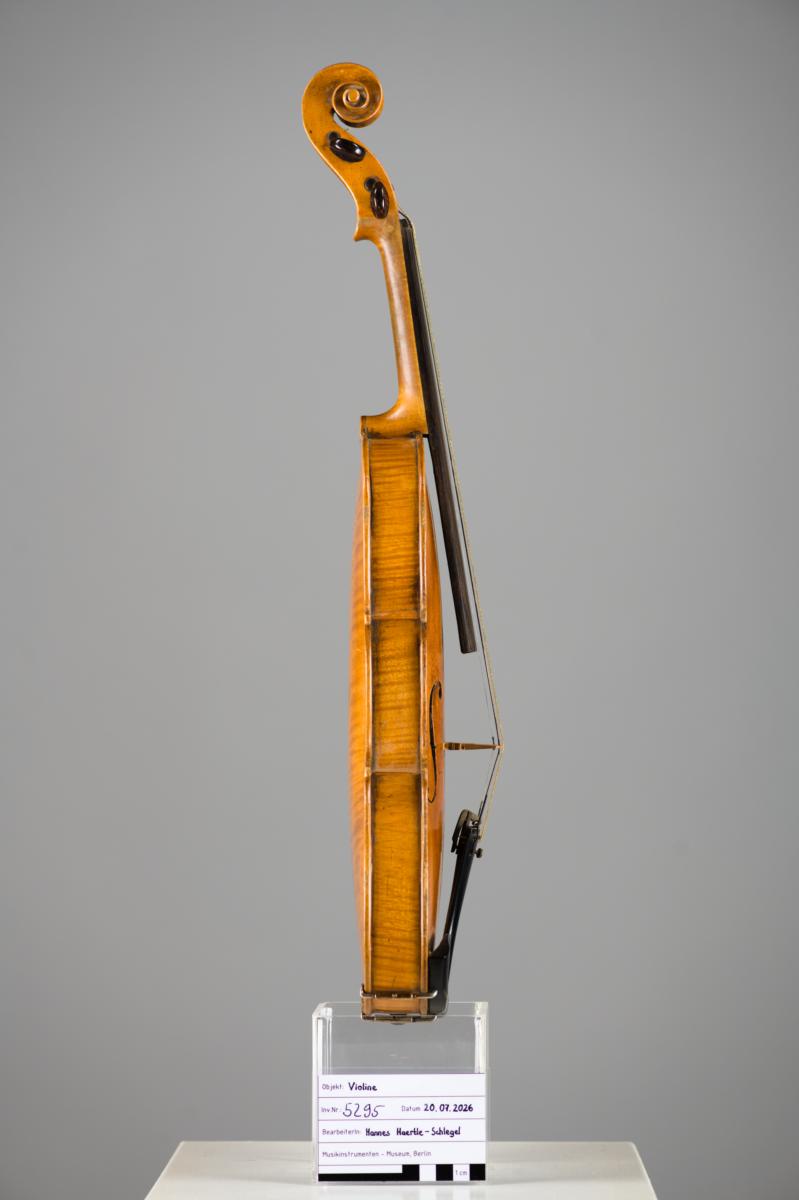 Violine