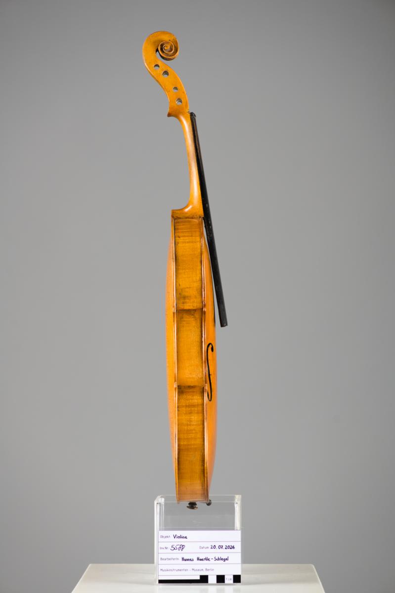 Violine