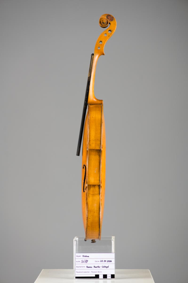 Violine