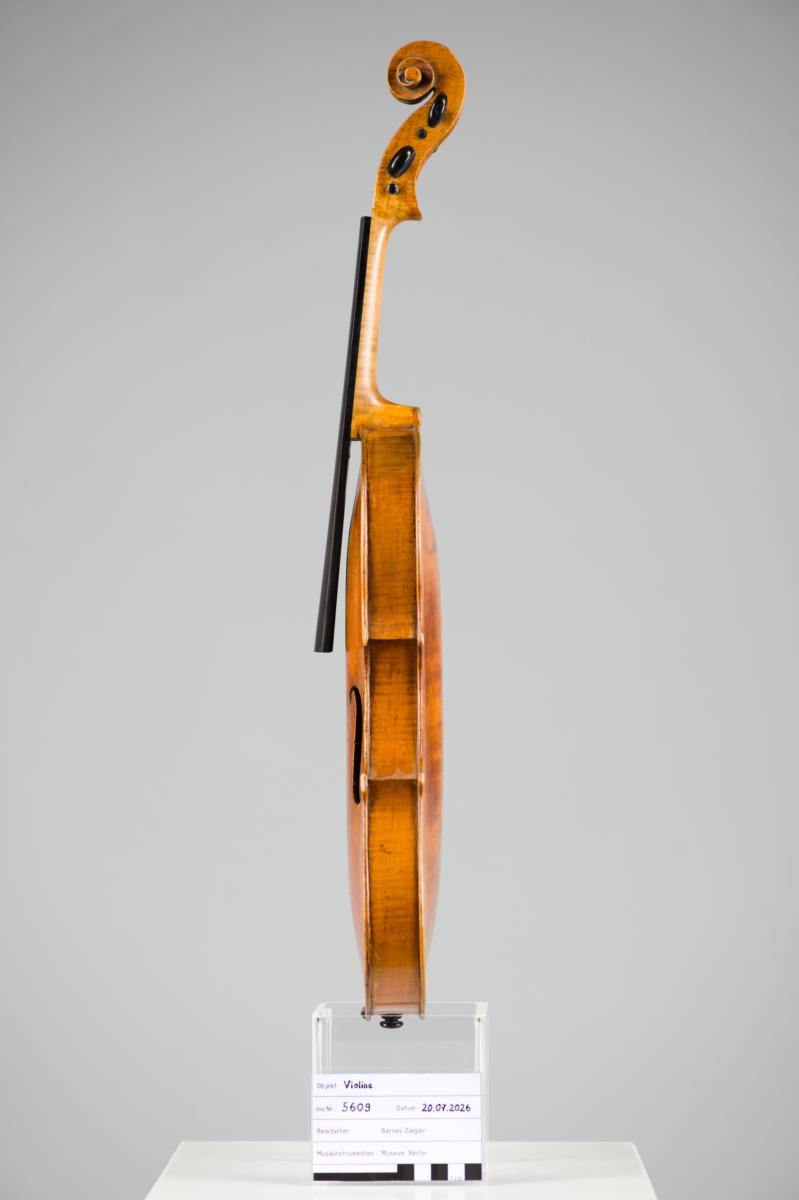 Violine