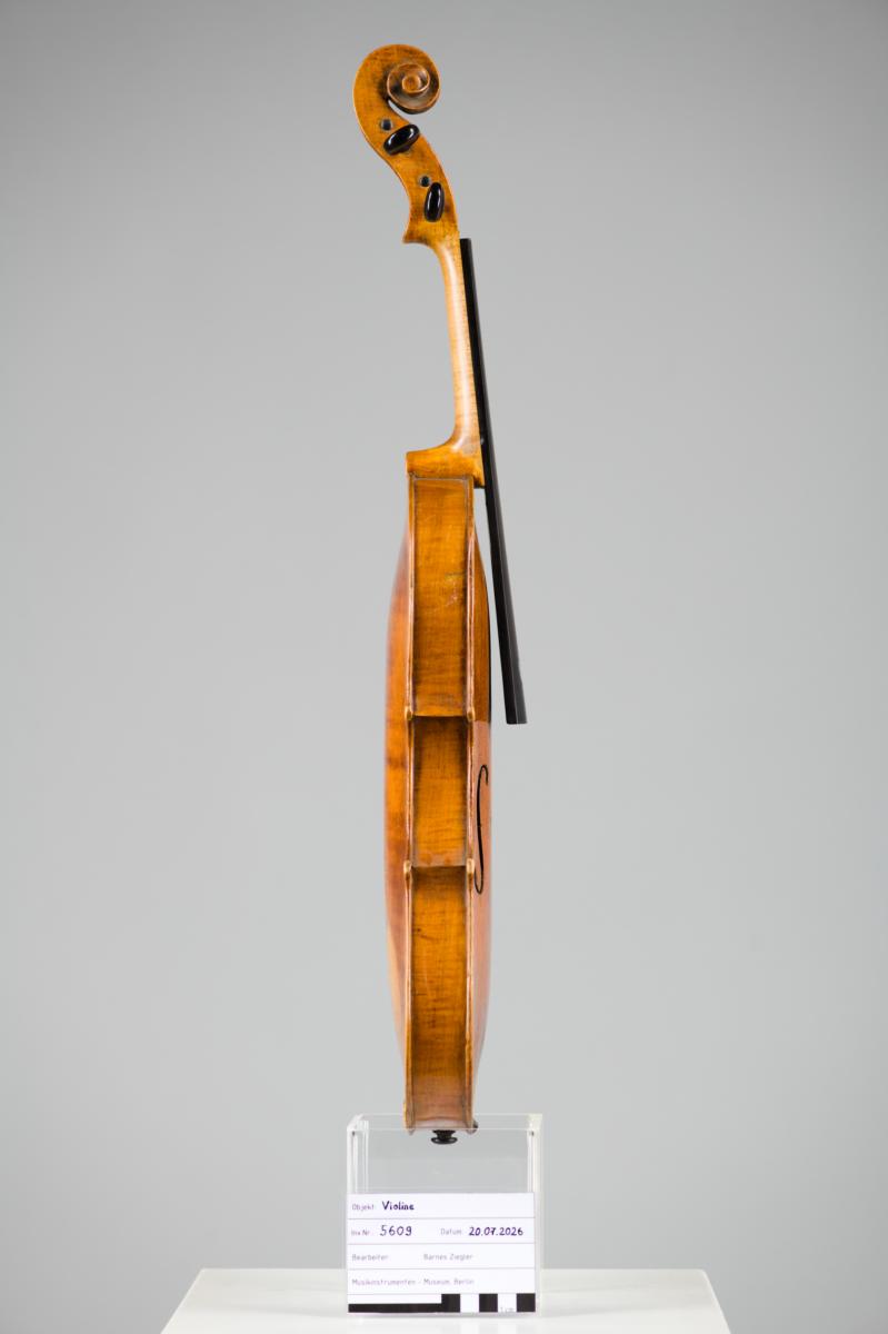 Violine