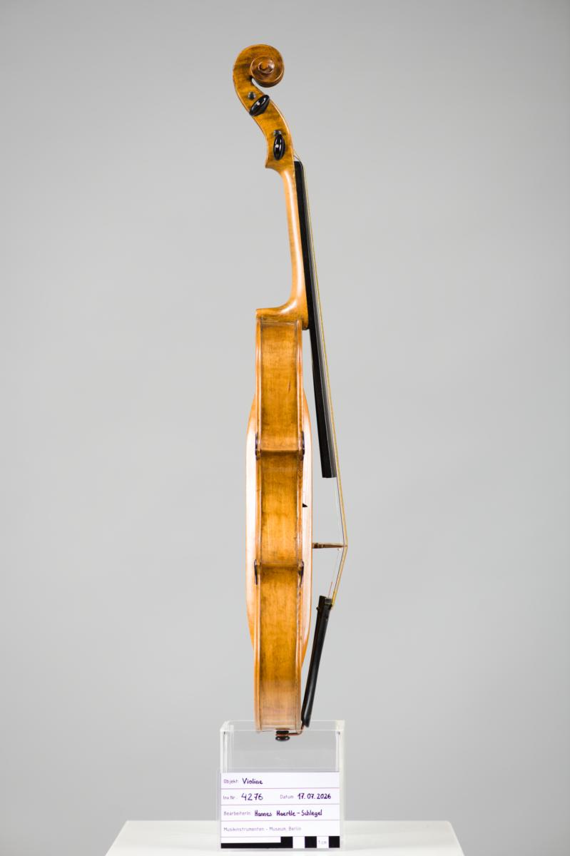 Violine