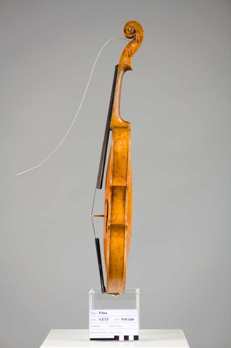 Violine