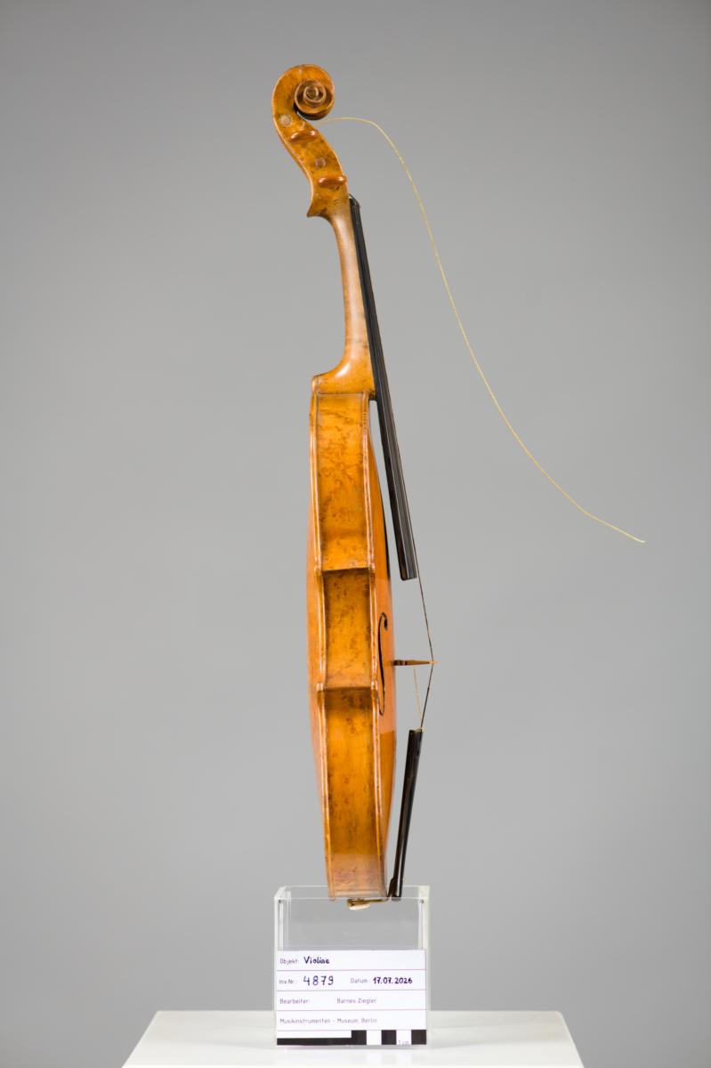 Violine