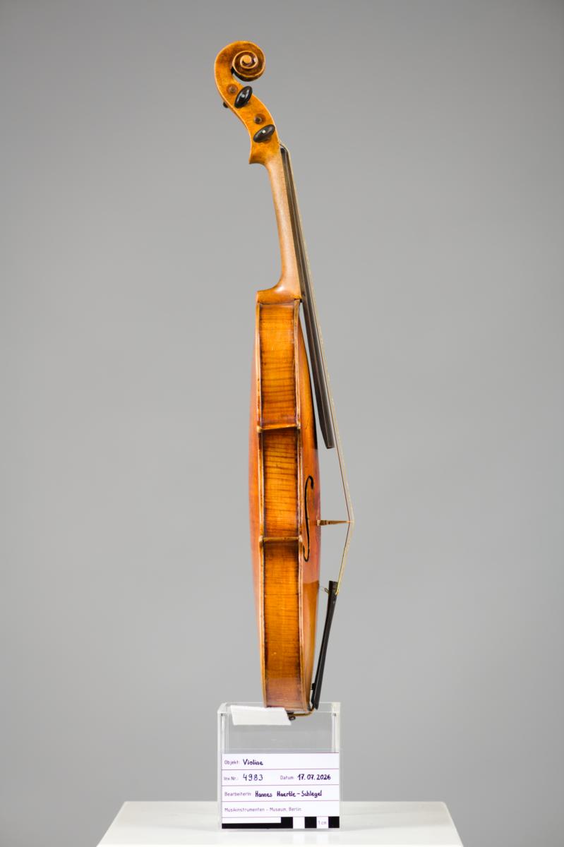 Violine