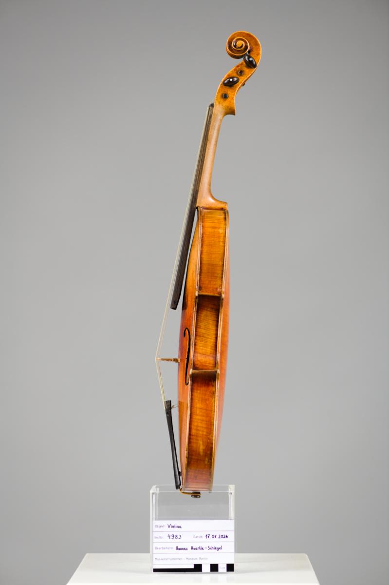Violine