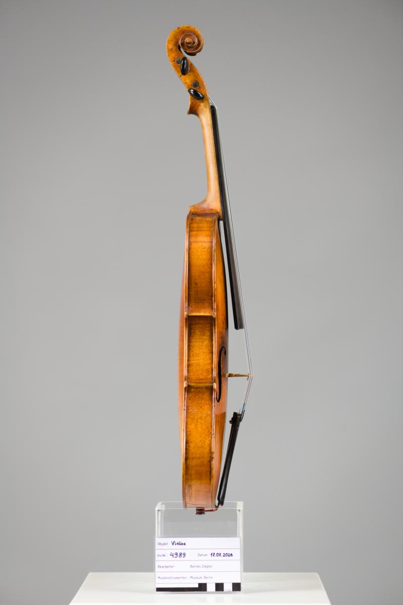 Violine