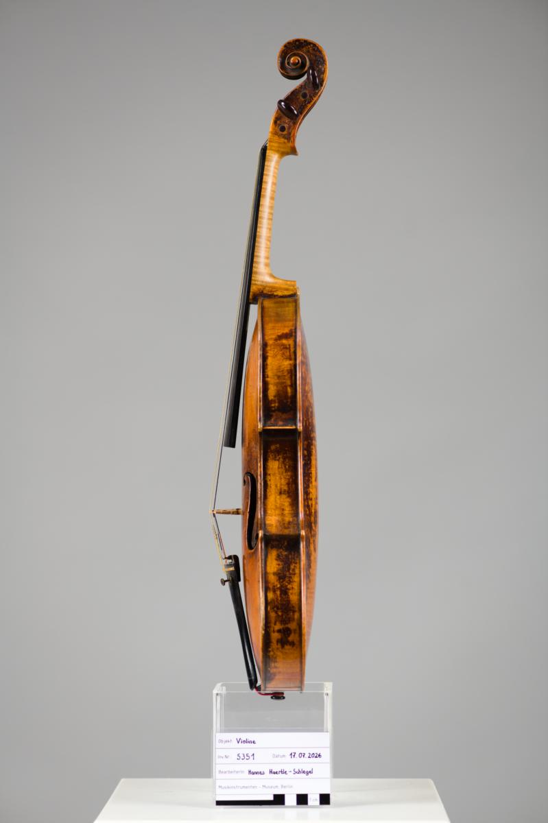 Violine