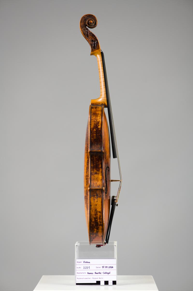 Violine
