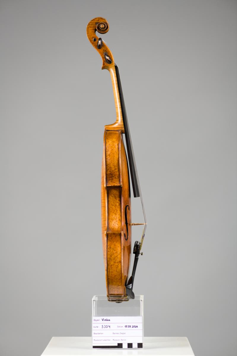 Violine