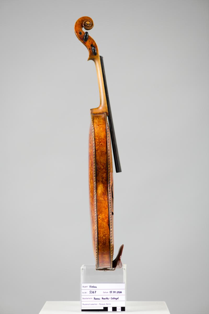 Violine