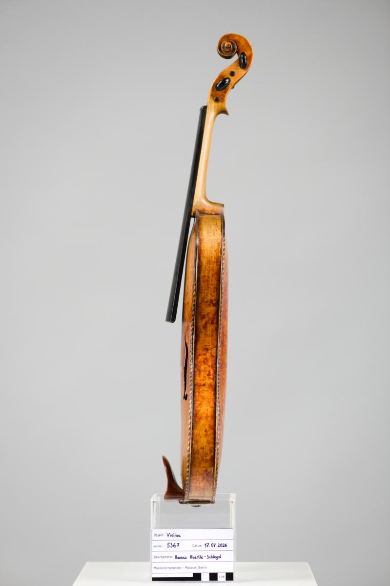 Violine
