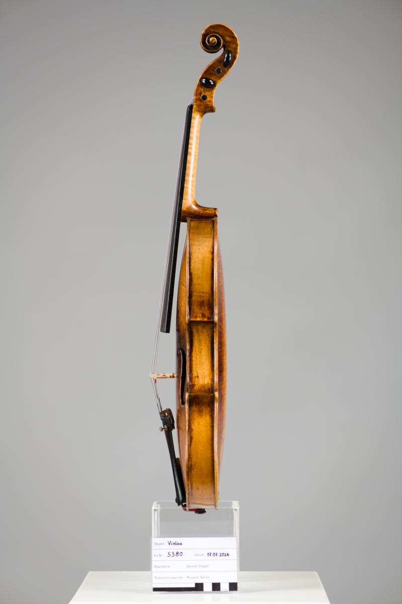 Violine
