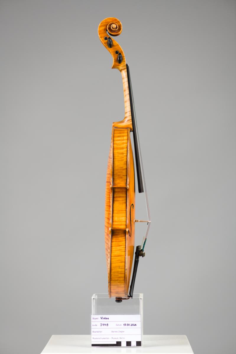 Violine