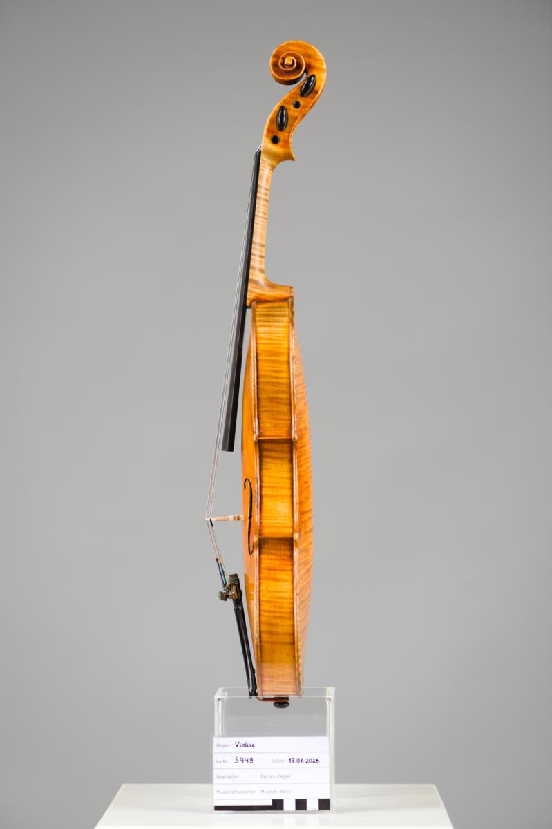 Violine