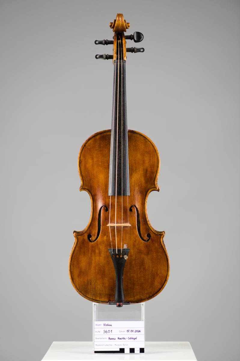Violine