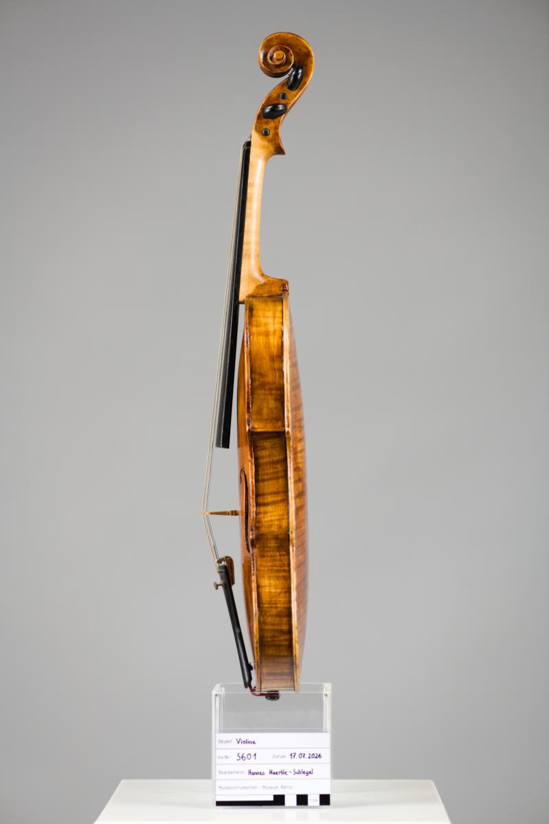 Violine