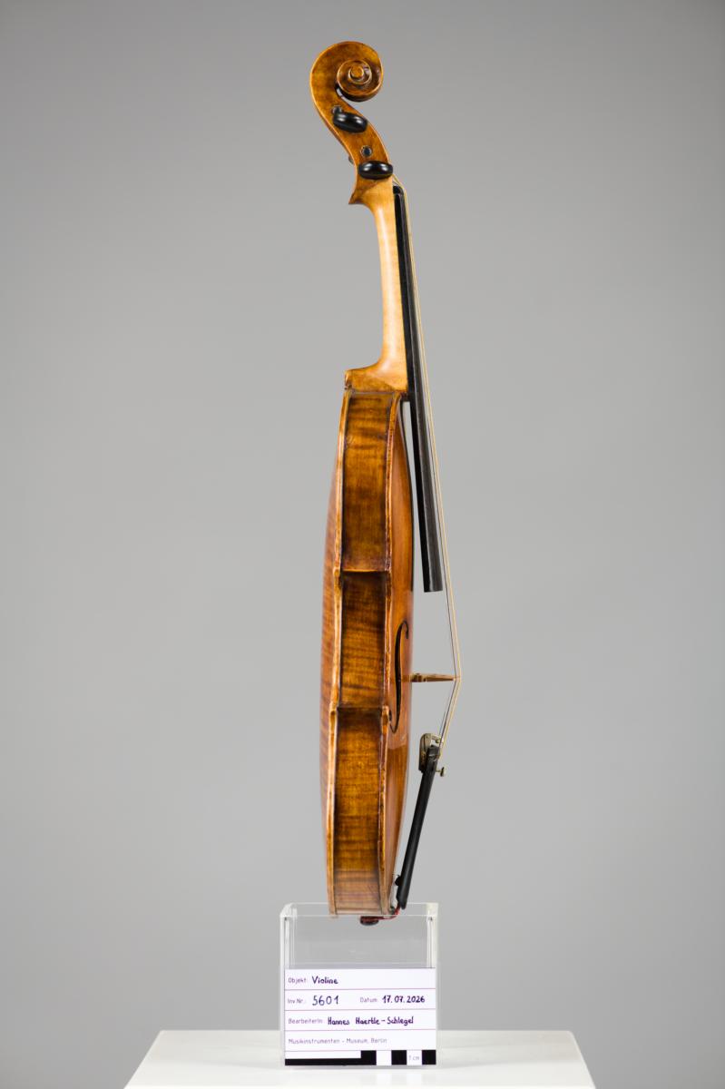 Violine
