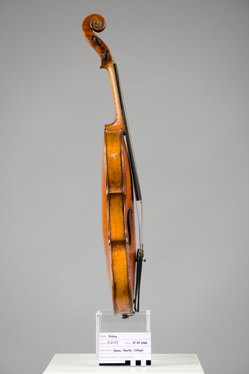Violine