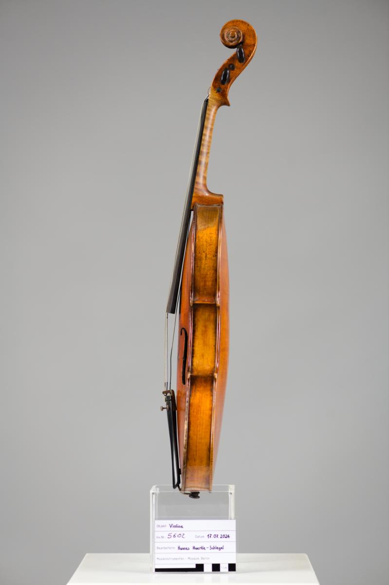Violine