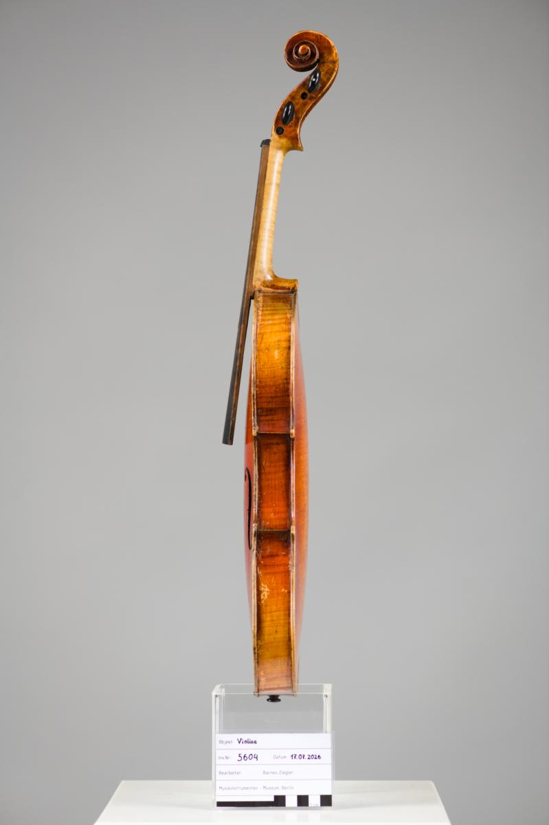 Violine