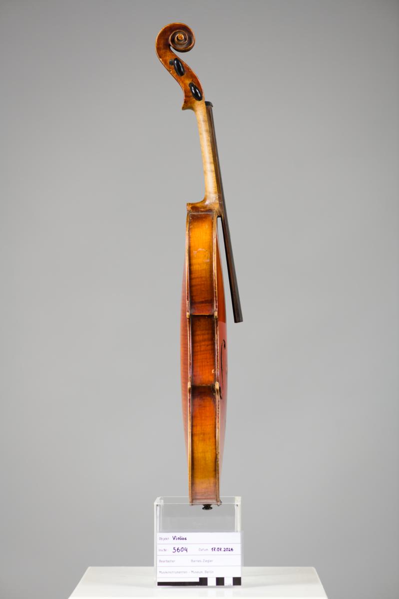 Violine