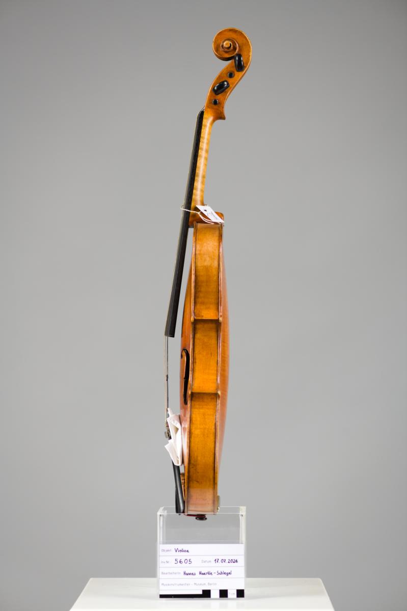 Violine